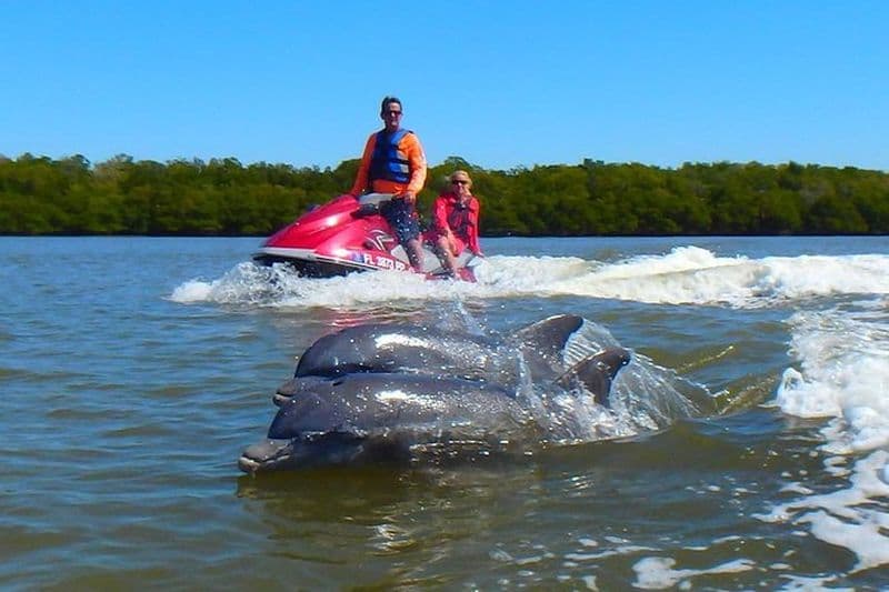 Visite Premium des dauphins d'Avi en jet ski