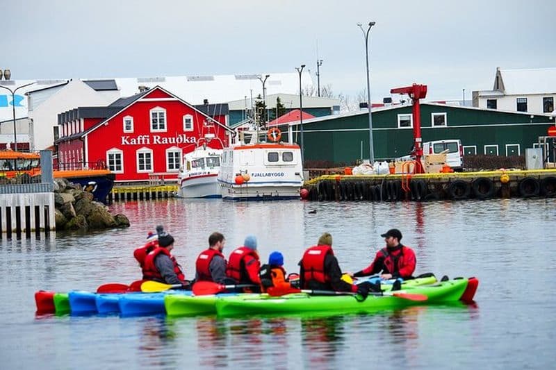 Privé : Visite guidée en kayak à Siglufjörður / Siglufjordur.