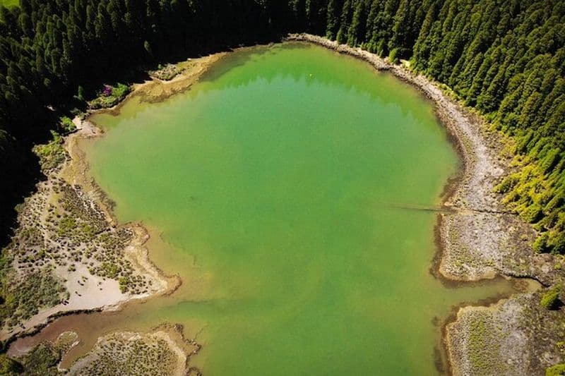 Excursions à terre au volcan et au cratère de Lagoa das Sete Cidades