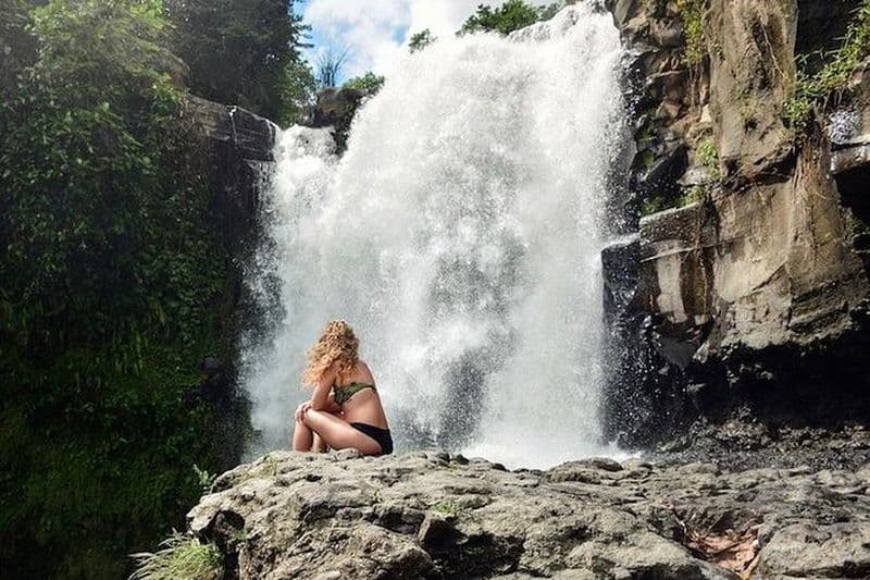Visite de la ville d'Ubud I: forêt des singes, palais d'Ubud, marché de l'art et cascade