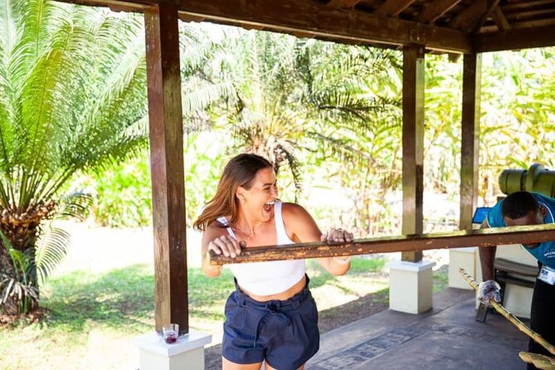 Appleton Estate, Black River Safari et YS Falls