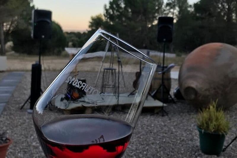 Visite et dégustation de vins à la cave Territorio Luthier