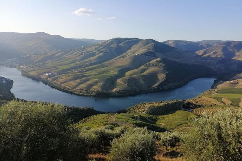 Randonnée dans la région viticole de la vallée du Douro