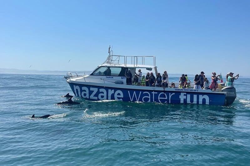 Excursion en bateau : observation des baleines et du canyon de Nazaré