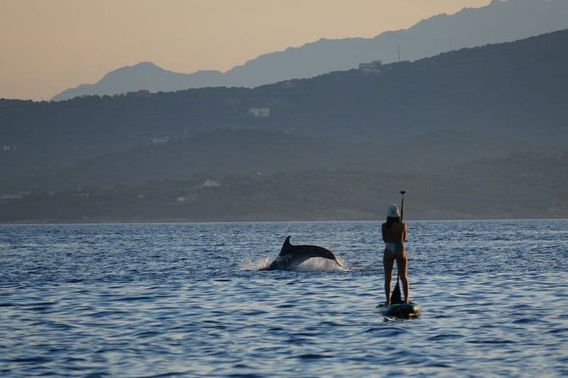 Stand Up Paddle avec les dauphins, apéritif et photos