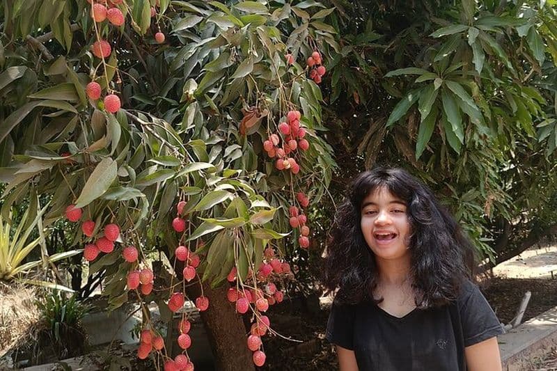 Cours de cuisine privés dans une ferme de la ville de Bangalore