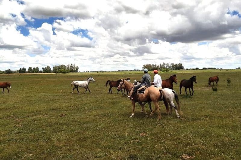 Randonnée à cheval et Asado dans la campagne argentine