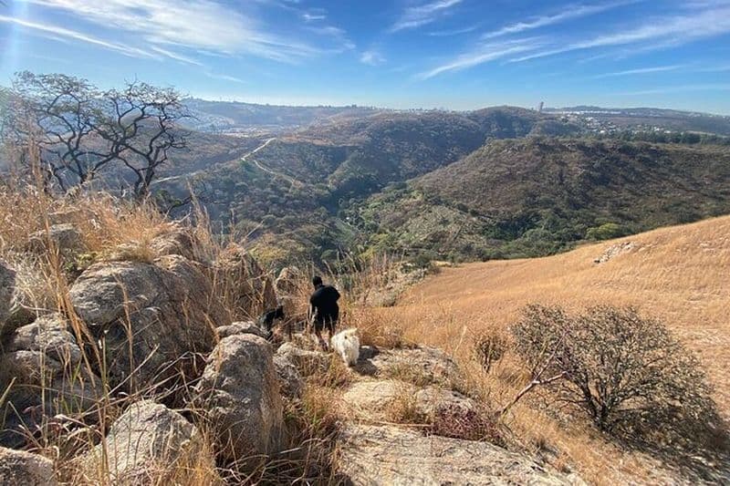 Randonnée à Guadalajara et un fabuleux brunch panoramique « El Diente »