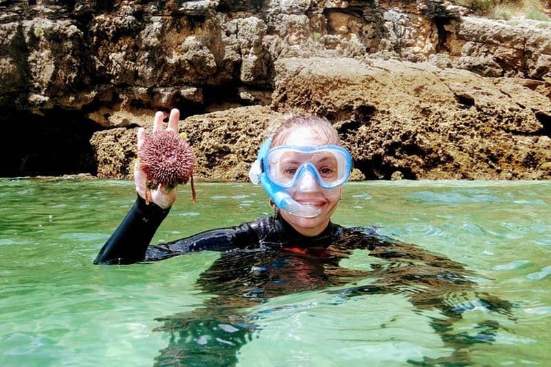 Sortie snorkeling à Arrábida
