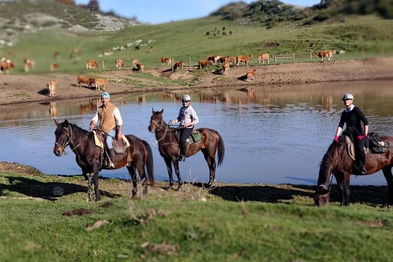 Sortie quotidienne de Rome : Balade à cheval avec repas et vin inclus