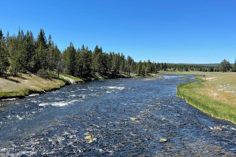 Visite en bus de Yellowstone