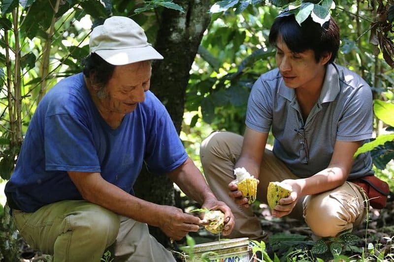 Excursion authentique de 2 jours à Cacao dans la jungle de Cusco avec famille d'accueil locale