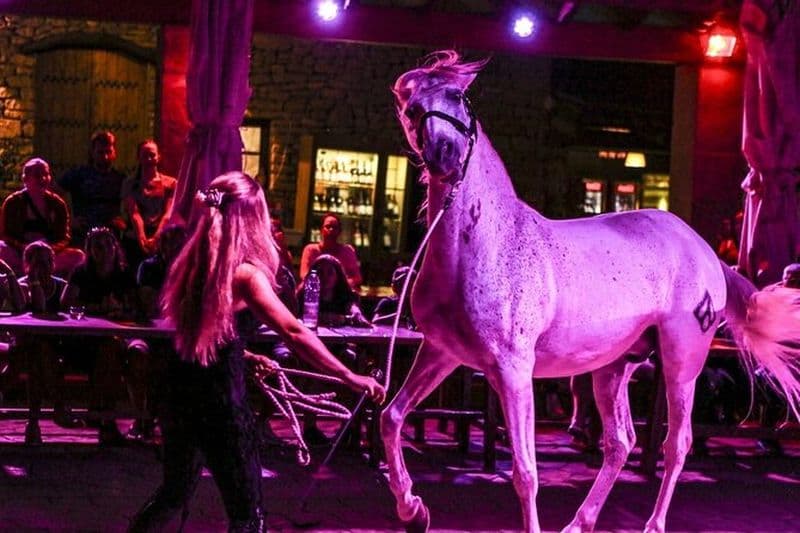 Balade à cheval et barbecue avec spectacle espagnol Expérience cowboy