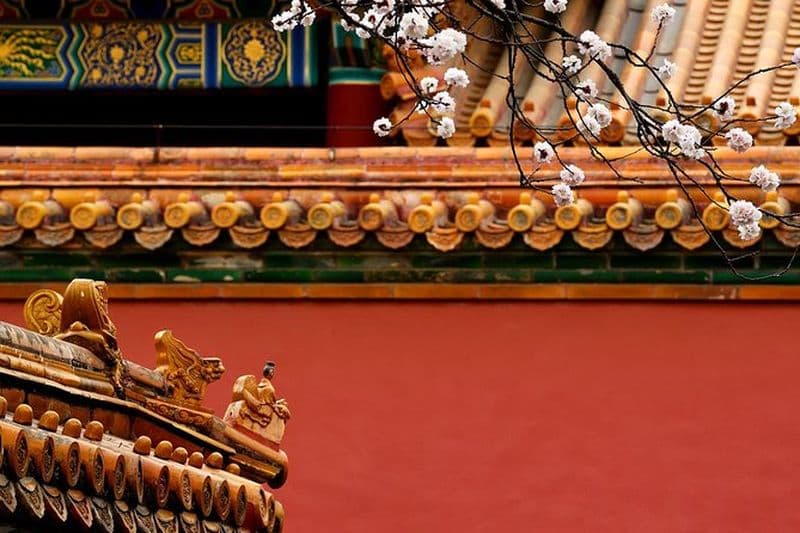 Détente privée en escale à Beijing avec bain thermal