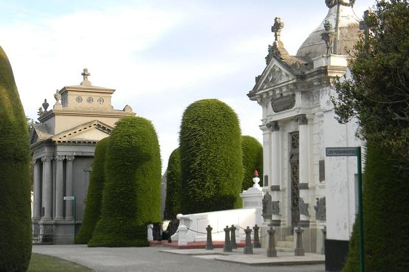 Excursion de valeur à Punta Arenas et au parc du détroit de Magellan