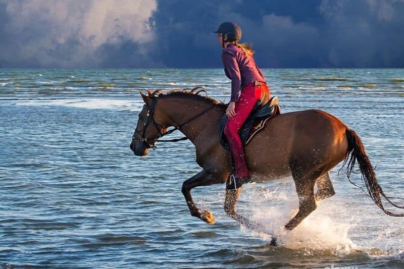 Excursion à cheval sur la plage de Casablanca avec transferts à l'hôtel