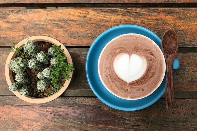 Dégustation de café et découverte de la vieille ville de Hoi An