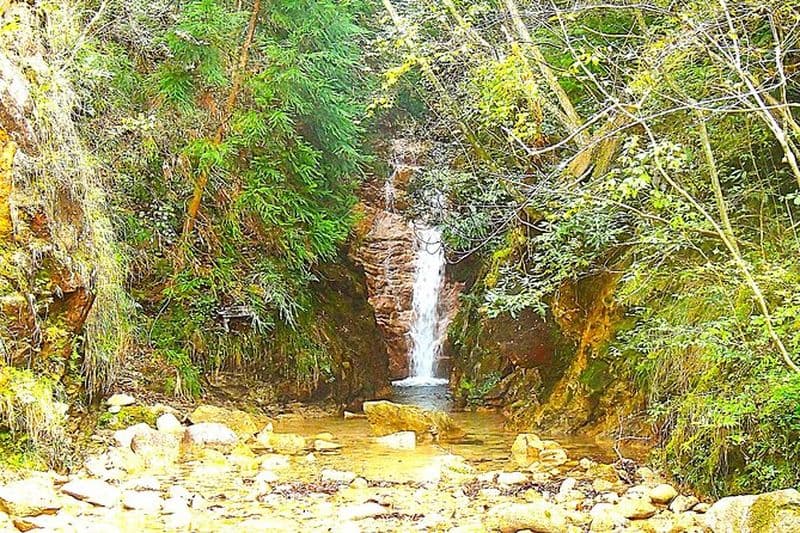 Randonnée privée historique dans la forêt de guérison d'Arima