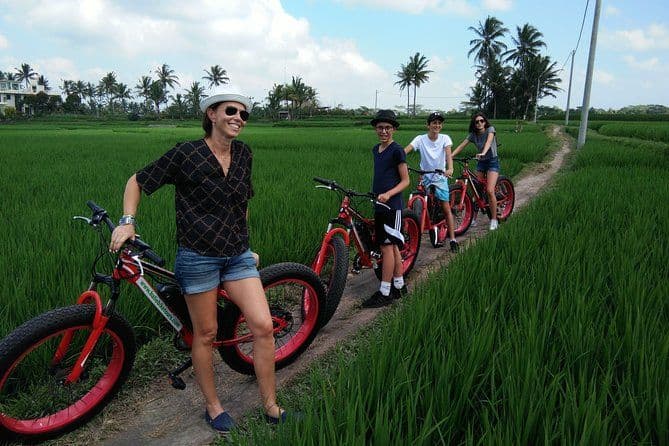 Circuit à vélo électrique à Ubud