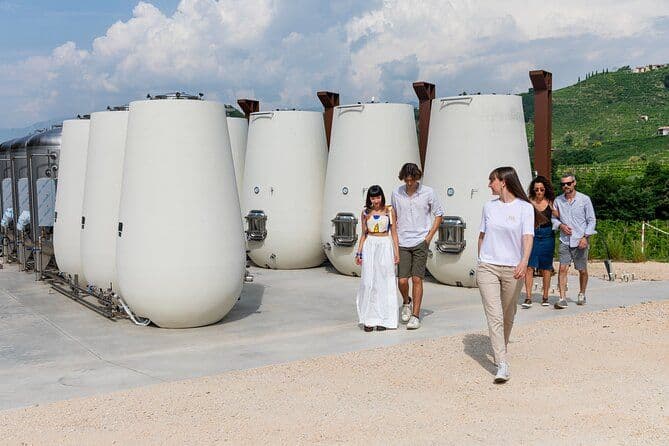 Billet Dégustation de Prosecco, apéritifs et visite de la cave et des vignobles