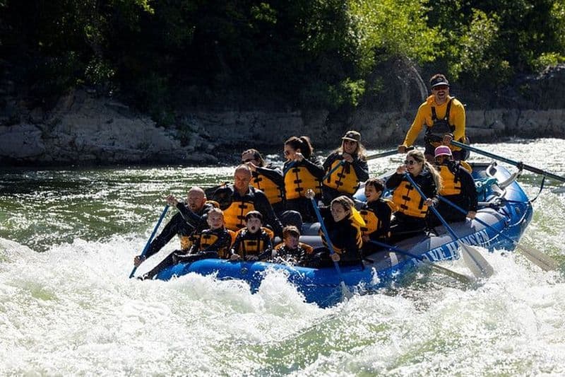 Rafting en eaux vives à Jackson Hole : Raft familial standard