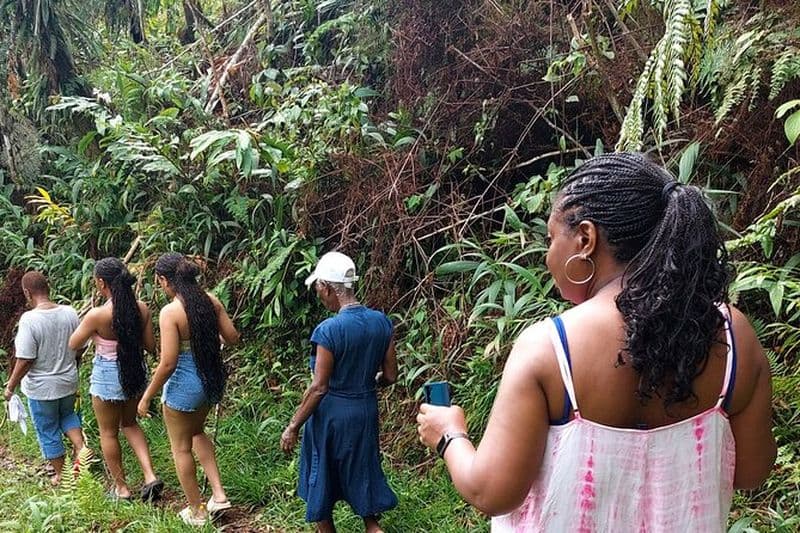 Randonnée touristique et sur le sentier de la nature de Blue Mountain avec un guide privé