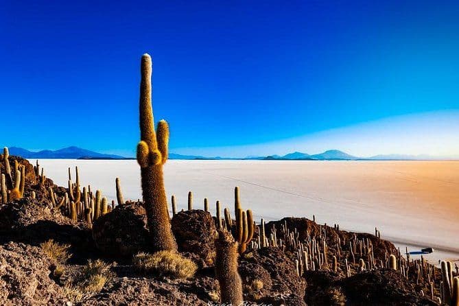 Billet Salar De Uyuni (1Jour) - Guide hispanophone