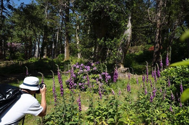Visite de photographie privée de 4 heures au départ de Kenmare – Tous les niveaux de compétence