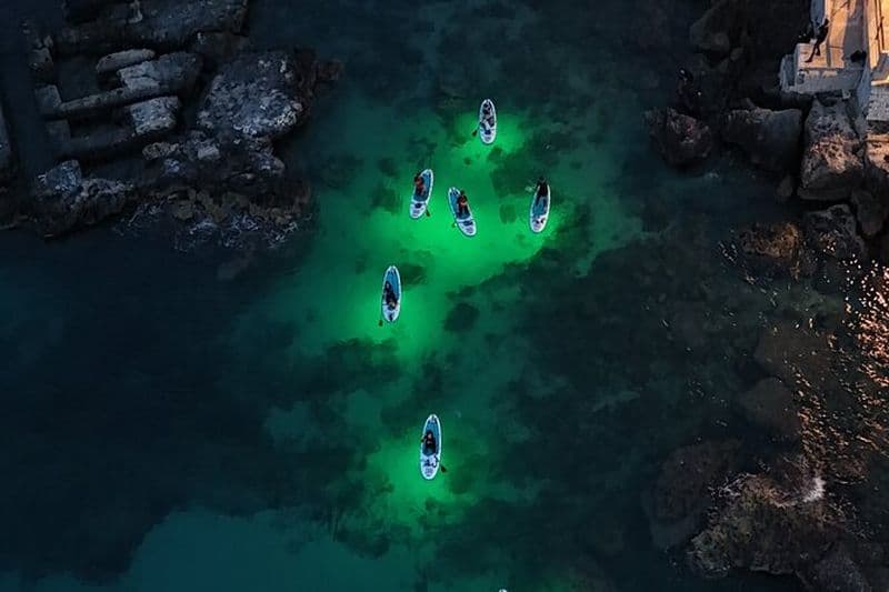 LUZ - Spectacle de lumière en SUP avec visite en bord de mer