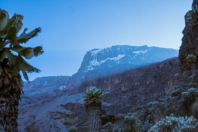 Visite privée d'escalade de 6 jours au mont Kilimandjaro