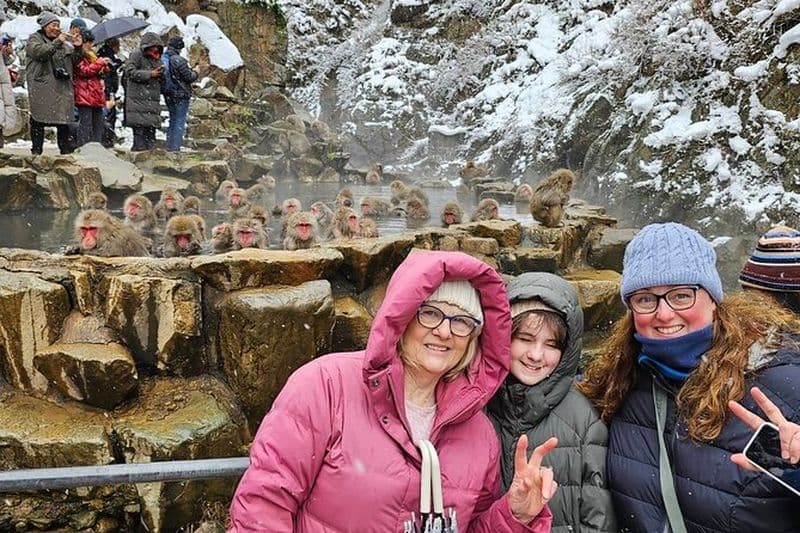 Billet Explorez le Parc aux singes de Jigokudani avec un guide local professionnel