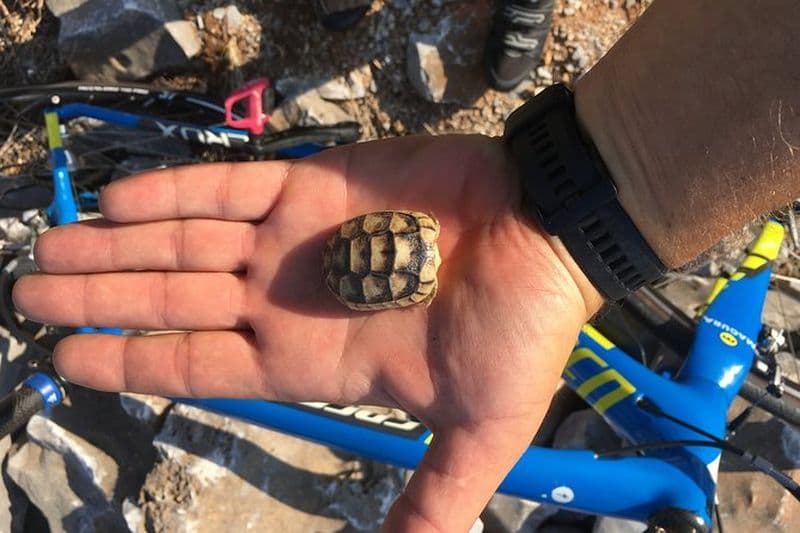 Visite en vélo électrique de East Mani Road