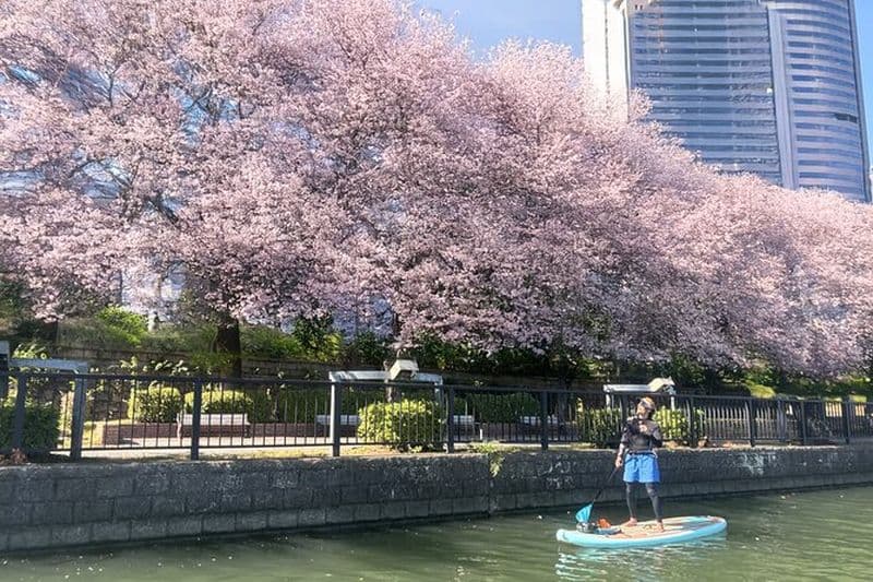 Expérience de Stand up Paddle Boarding à Osaka
