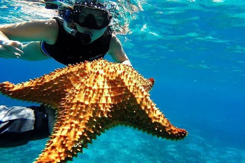 Bateau à moteur avec plongée Aventure de Cancún