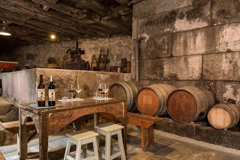 Dégustation de vins du Douro dans une cave familiale au Portugal