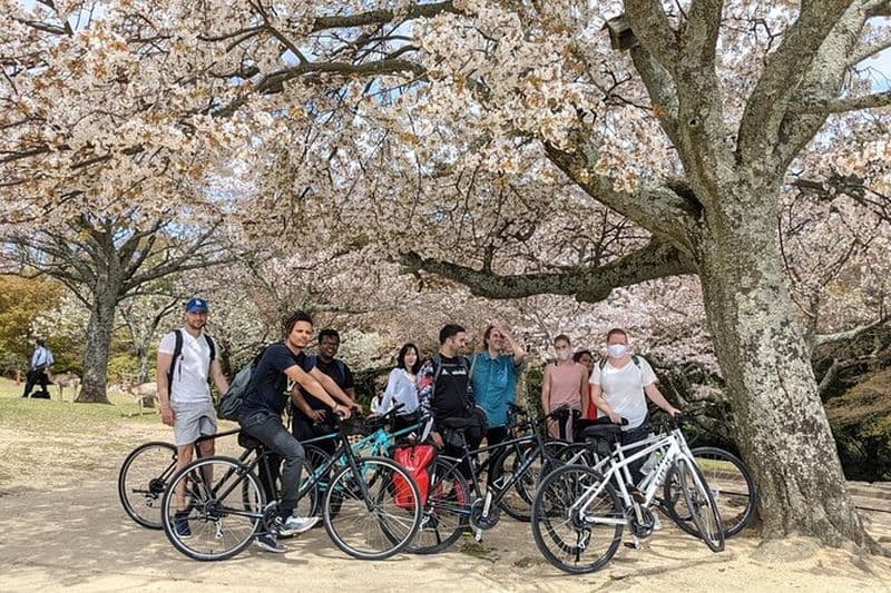 Nara - Visite à vélo croisée au cœur de la nature