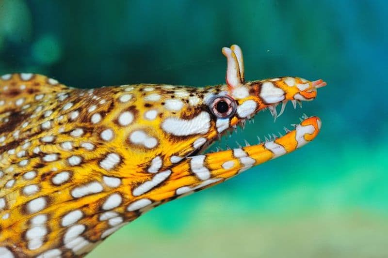 Billet Visite privée du centre financier mondial de Shanghai, du temple Jing’an et du parc Fuxing