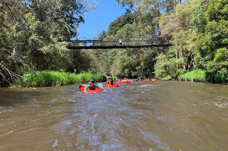 Aventure en traîneau autoguidée sur la rivière Yarra