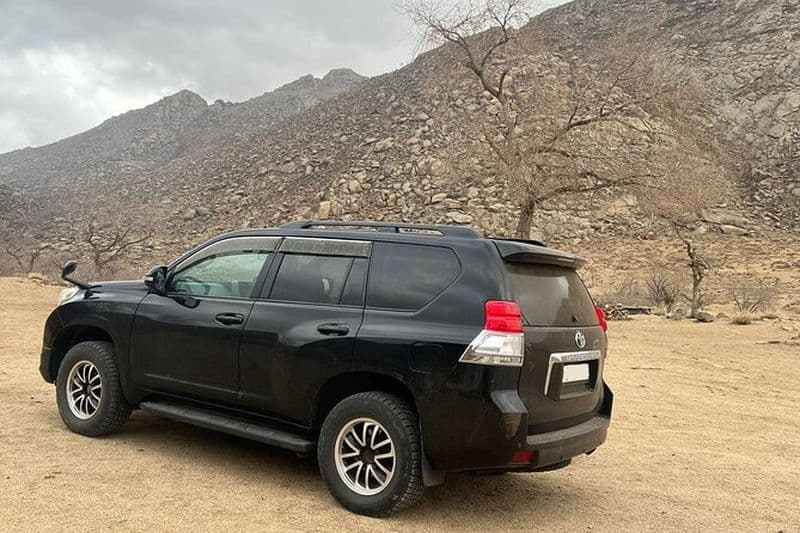 Excursion privée d'une journée en jeep à Elsen Tasarkhai, Semi-Gobi