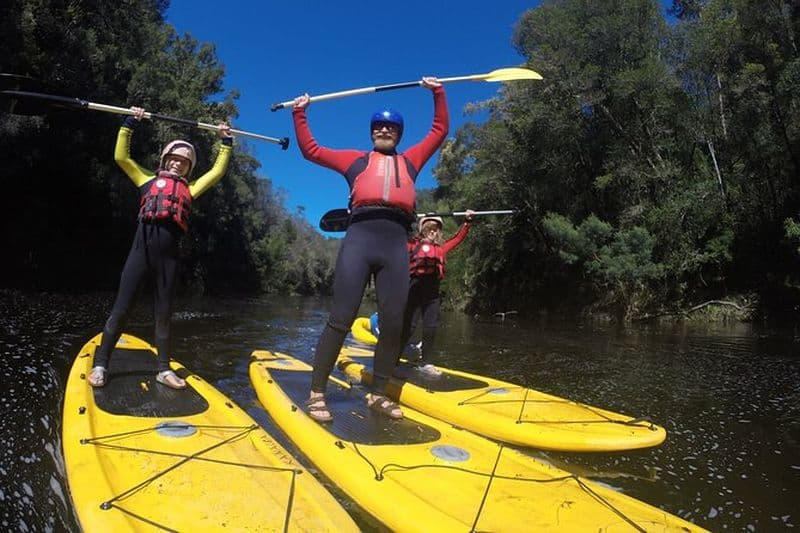 Blackwater Tubing Green Route Forest Adventure