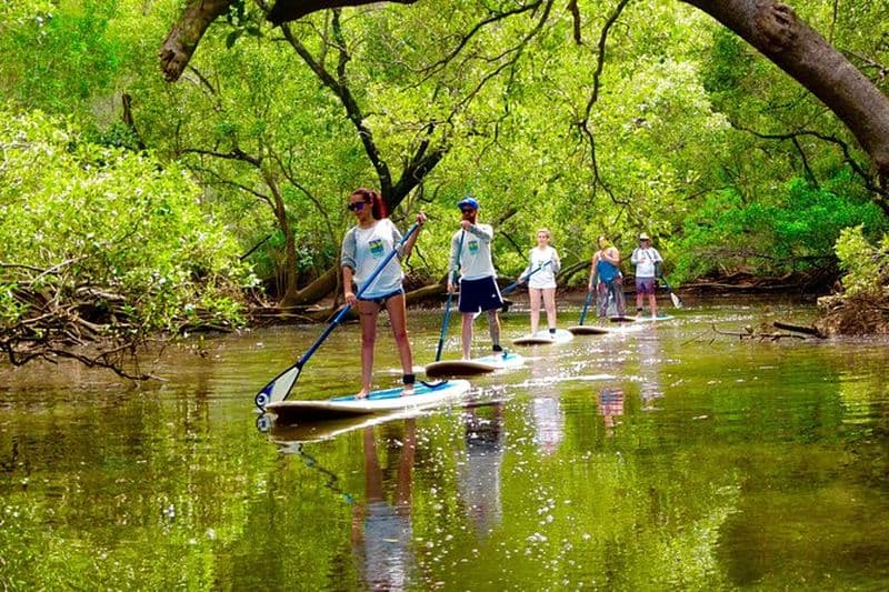 Visite de la nature de Byron Stand Up Paddle