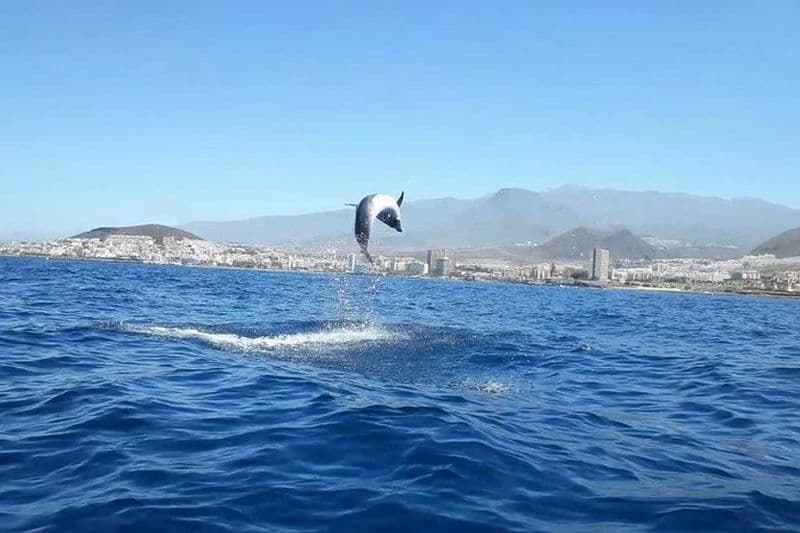 Tenerife by Kayak Adventure en petit groupe