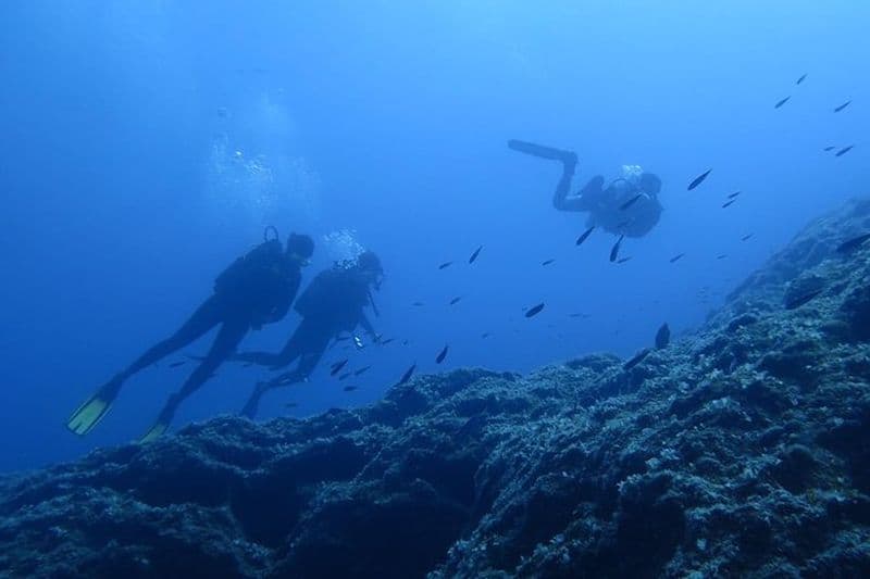 Essayez la plongée sous-marine