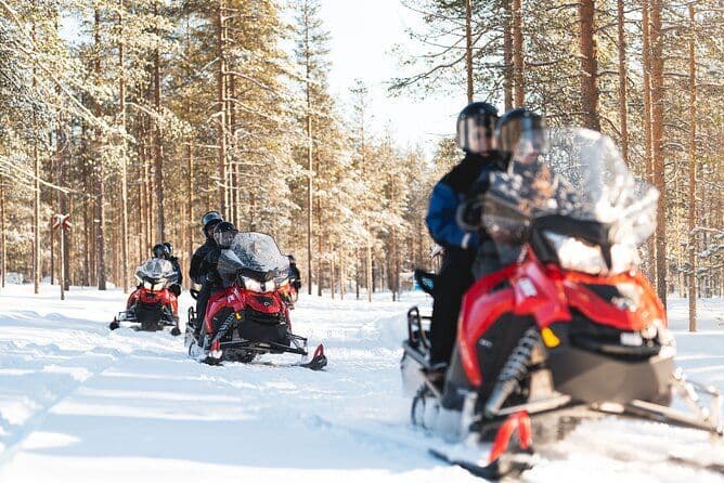 Safari en motoneige facile d'une heure à Levi
