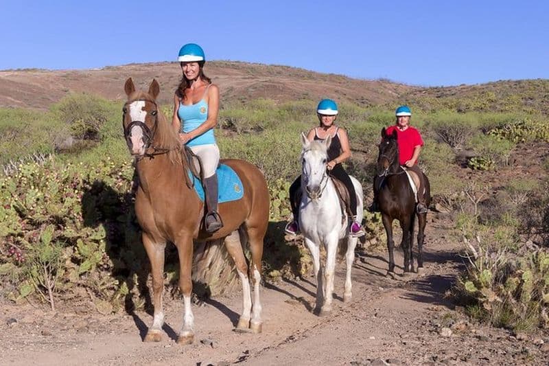 La meilleure expérience d'équitation à Gran Canaria (1 heure)