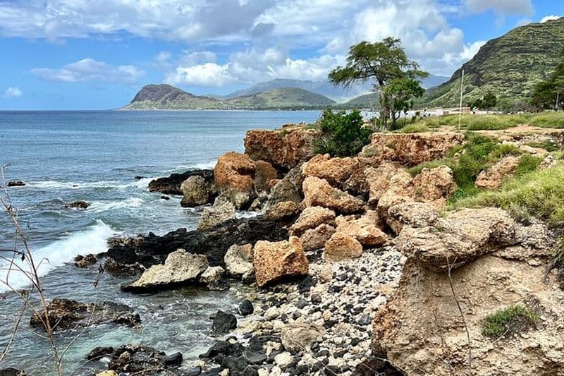 Excursion de plongée en apnée électrique sur la plage avec les dauphins