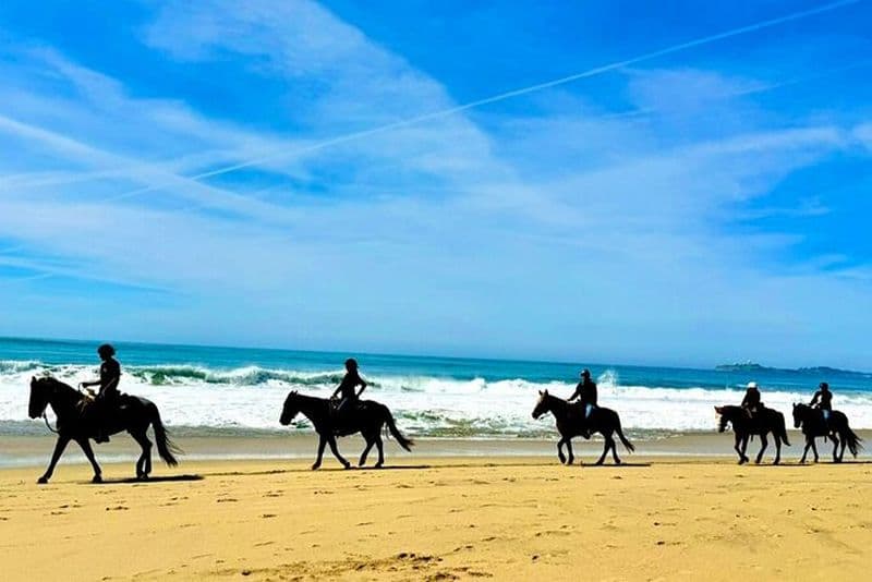 Billets pour une promenade à cheval et la prison d'Alcatraz