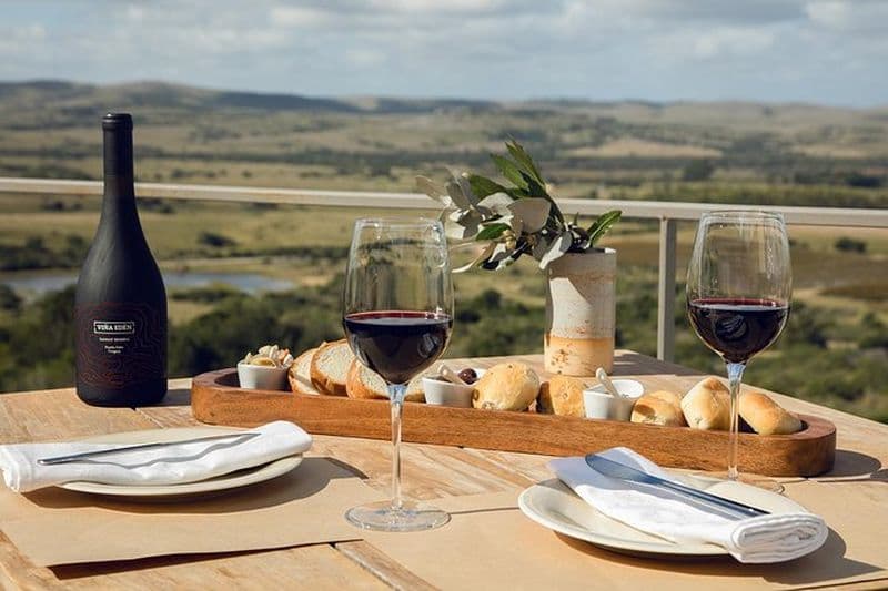 Dégustation de vins