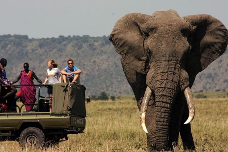 Visite de 4 jours du parc national Kruger et du canyon de la rivière Blyde