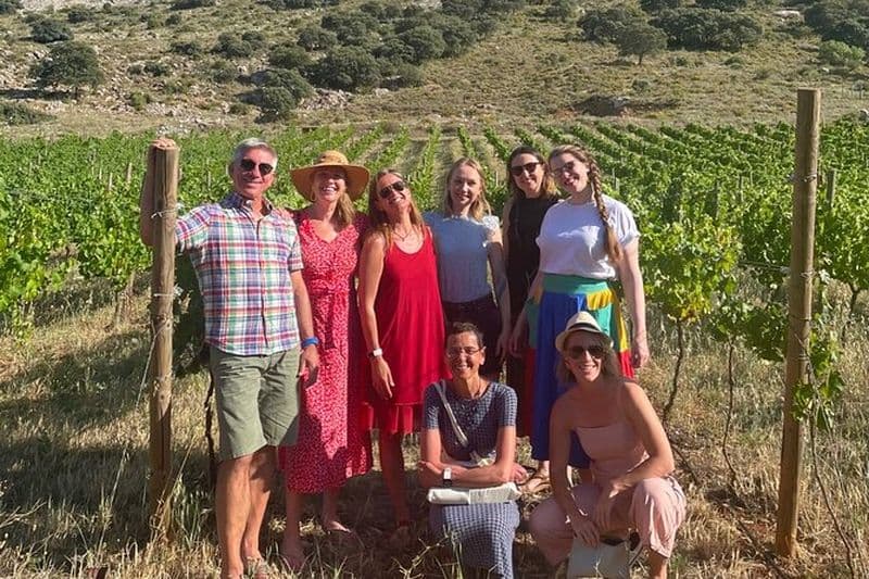 Antequera - Expérience Dolmens et vignobles